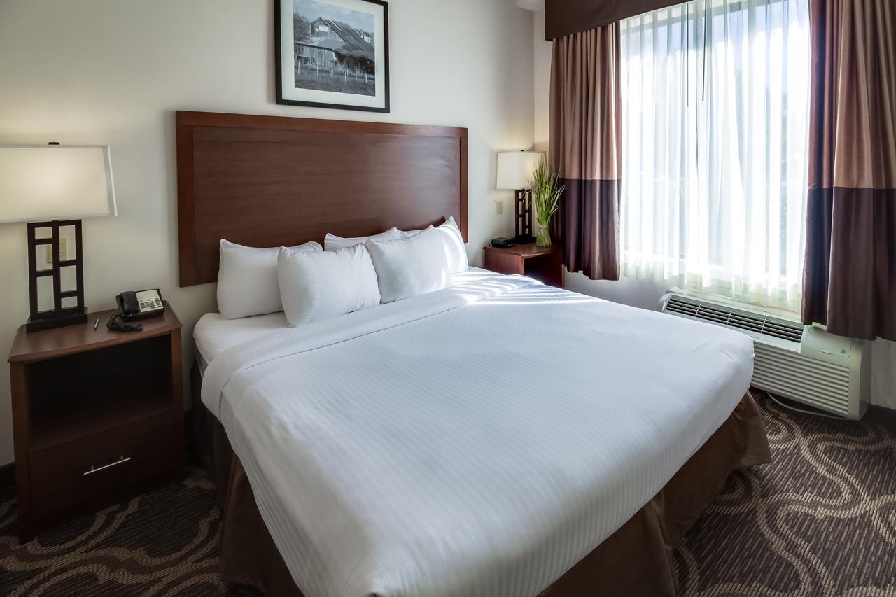 Ashmore Inn And Suites Lubbock Esterno foto