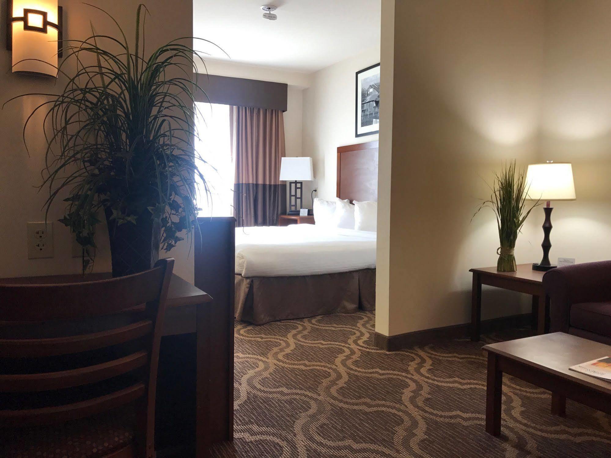 Ashmore Inn And Suites Lubbock Esterno foto